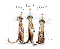 Birthday Card, Suricates, 15x15 cm